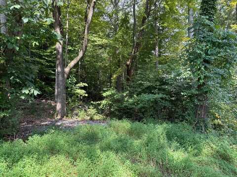 64 Riddle Street, Dayton, TN 37321