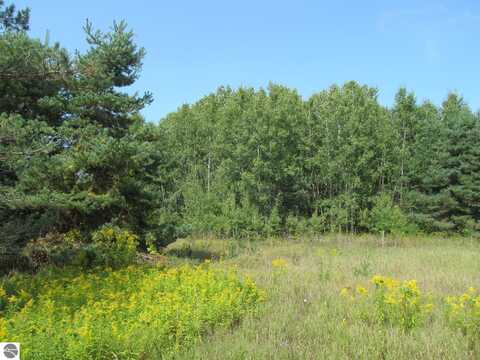 '0' M-55 E. DIVISION ST., CADILLAC, MI 49601