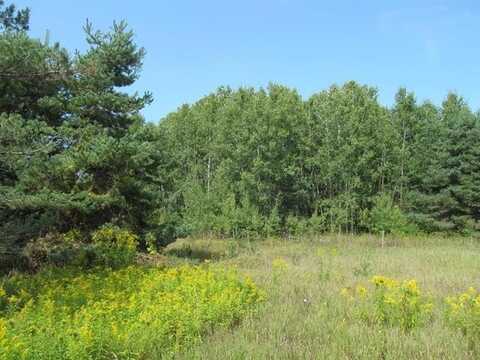 '0' M-55, HARING TWP, MI 49601
