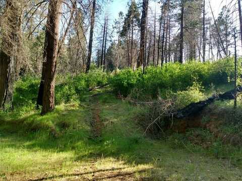 Shadow Pine Road, Mountain Ranch, CA 95246