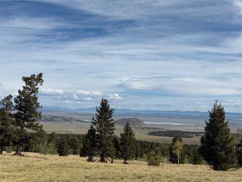350 Kaufman Road, Hartsel, CO 80449