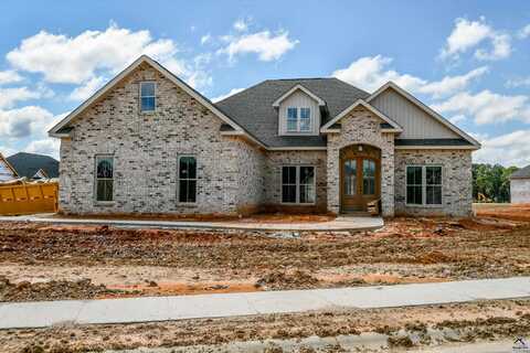 205 Emberwood Way, Kathleen, GA 31047