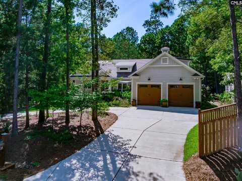 239 Pebblebranch Drive, Chapin, SC 29036