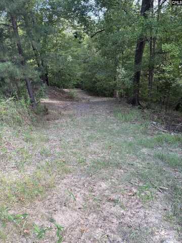 80 Valley 1 Drive, Ridgeway, SC 29180