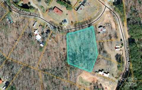 Horse Creek Drive unit: 14, Mill Spring, NC 28756