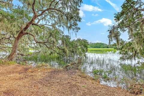 0 Back Forty Road, Wadmalaw Island, SC 29487