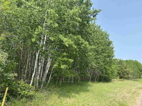 Lot 4 North Shore Dr, Iron River, WI 54847