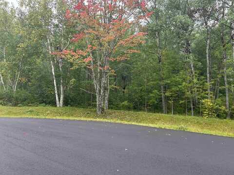 xxx Maple Grove Rd, Hermantown, MN 55810