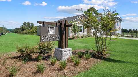 22 BOTTOM BOARD CT, RIDGELAND, SC 29936