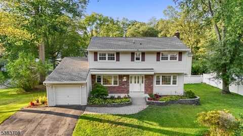 45 Deer Path Dr, Mount Olive Twp., NJ 07836