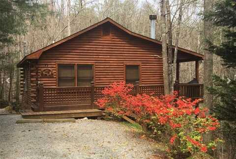 77 BRITTANY Lane, Cherry Log, GA 30522