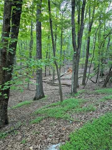 263 Wake Robin, Big Canoe, GA 30143