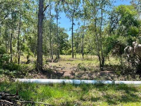 13086 Mandalay Drive, Punta Gorda, FL 33955