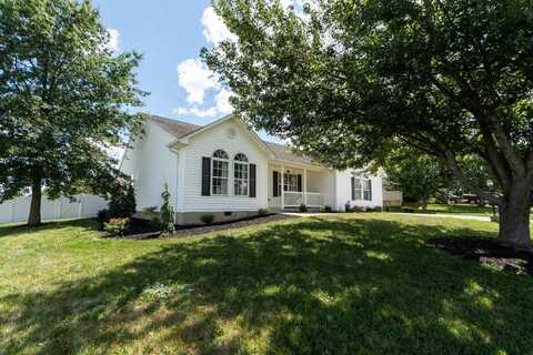 55 WYER ST, WEYERS CAVE, VA 24486