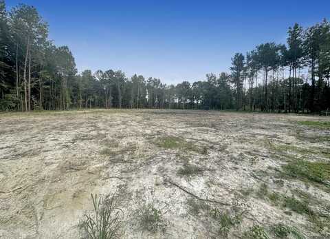 14342 Springfield Rd, Walker, LA 70785