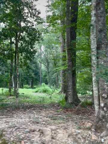 Lot A-1-b Lemon Rd, Slaughter, LA 70777
