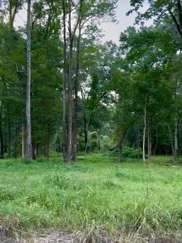 Lot A-1-a Lemon Rd, Slaughter, LA 70777
