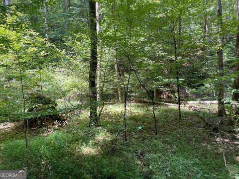 Lot 223 Bowline, Ellijay, GA 30540