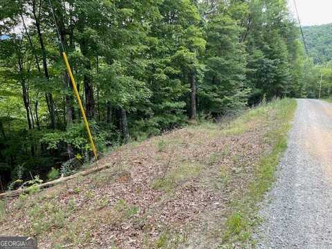 17 Amy Creek Circle, Ellijay, GA 30540