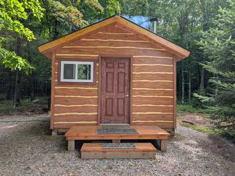 251 TAMARACK LAKE RD, Iron River, MI 49935
