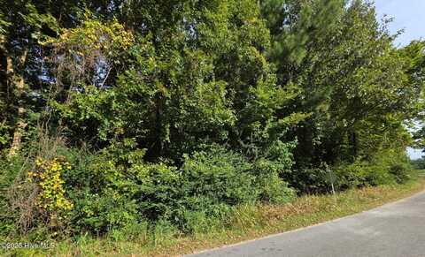 0 Brassie Drive, Grifton, NC 28530