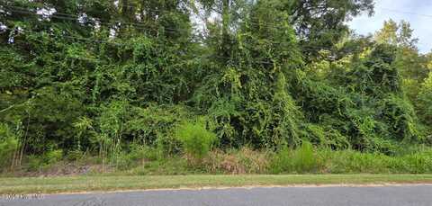 0 Fairway Drive, Grifton, NC 28530