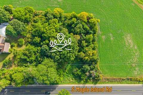 V/L S Maple Island Road, Fremont, MI 49412