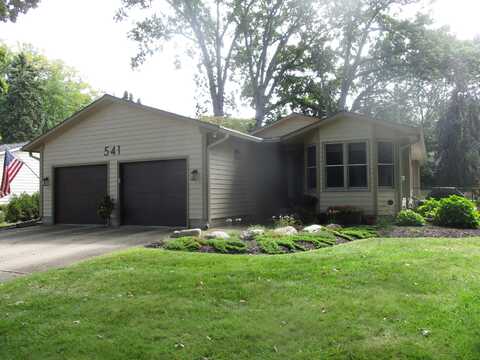 541 Mason Street, Saugatuck, MI 49453