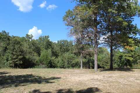 88 Chestnut Lane, Tecumseh, MO 65760