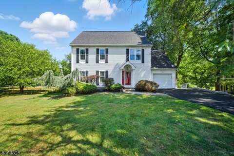232 RIVERSIDE DRIVE WEST, Denville, NJ 07834