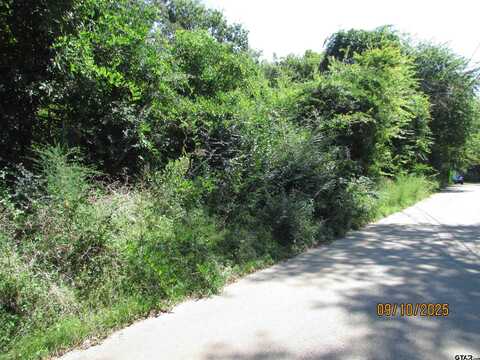 413 PARKER AVENUE, Tyler, TX 75702