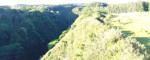 KAIWIKI HOMESTEAD RD, Hakalau, HI 96710
