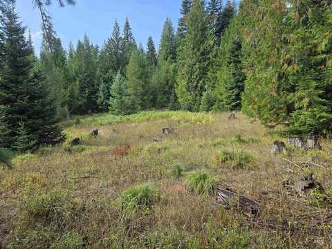 Tbd #7 Hjalmar Johnson Road, Weippe, ID 83553