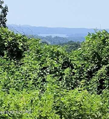 Ashe Cabin Hollow Rd, Harriman, TN 37748