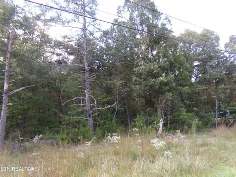 3020 Oswego Rd, Crossville, TN 38572