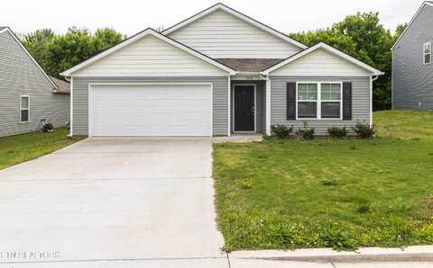 1614 River Poppy Road Rd, Mascot, TN 37806
