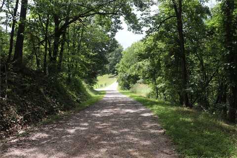 2254 Vineyard Ridge, Walton, WV 25286