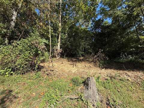 Straight Fork Road, Griffithsville, WV 25521