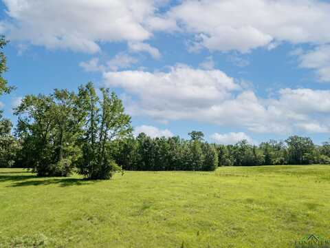 249 PR 3334, Big Sandy, TX 75755