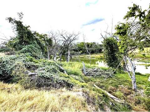 E/S Rust, Spring Branch, TX 78070