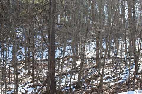 Deer Path 21, Price Twp, PA 18302