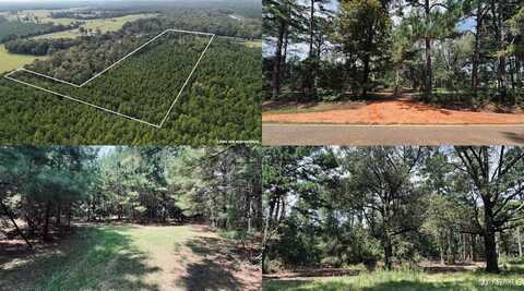 16877 Meriwether Trail, Grady, AL 36036