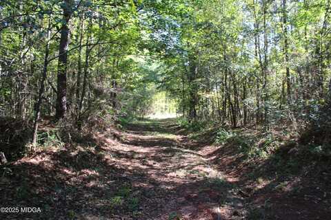 00 JW Ashley Road, Jeffersonville, GA 31044