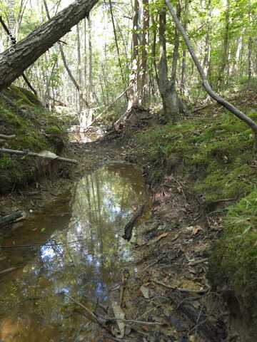 Cub Brown Road, Sontag, MS 39665