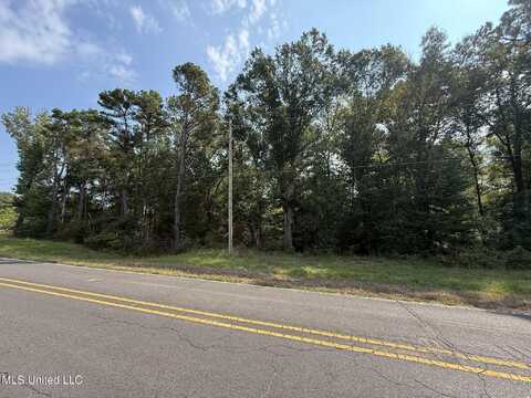 0 Polk Lane, Olive Branch, MS 38654