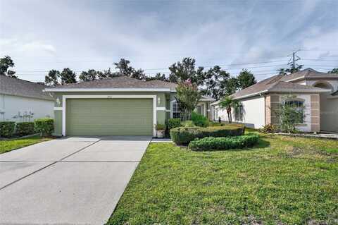 2911 BANYAN HILL LANE, LAND O LAKES, FL 34639