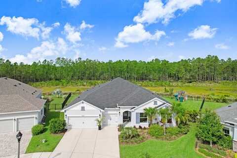 16160 NOVEMBER RAIN COURT, LAND O LAKES, FL 34638