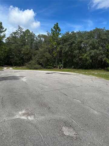 SW 179TH PLACE, OCALA, FL 34473