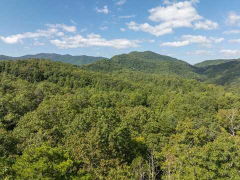 TBD Old Yellow Branch Road, ROBBINSVILLE, NC 28771