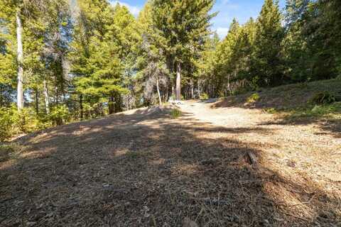 185 Sweetwater LN, BEN LOMOND, CA 95005